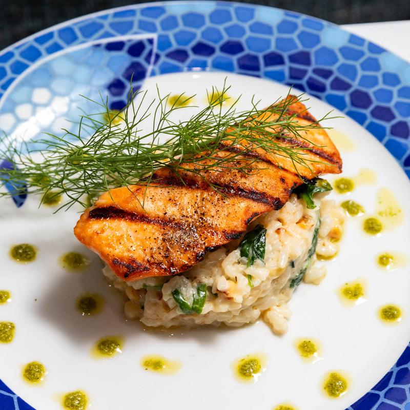 Salmon